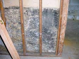 Drywall Damage Wet Drywall Mold