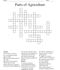 Agriculture Crossword Wordmint