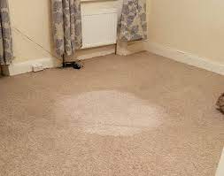carpet cleaning paddington w2 premium