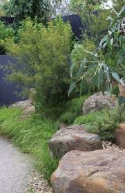 Native Australian Native Garden
