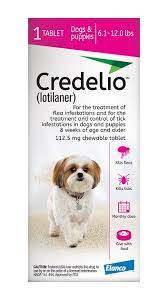 Credelio Chewable Tablet For Dogs 6 1 12 Lbs 1 Tablet Pink Box