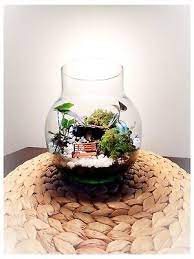 Glass Terrarium Jar Craft Kit