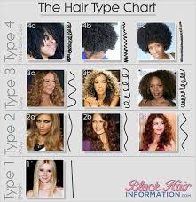 Hair Types Curly Hair Styles Hair Type Chart Natural