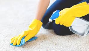 9 best carpet cleaners for dog urine in