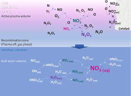 Plasma Catalytic Nitrogen Fixation