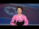 The North Korean spokesman