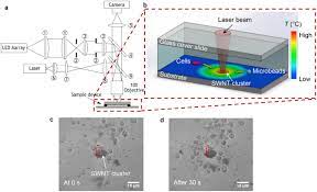 microparticle manipulation using laser