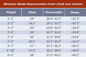 Body Measurement Template Online Charts Collection