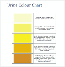 Urine Color Chart Cycling Studio