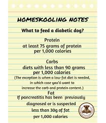 diabetes homeskooling 4 dogs