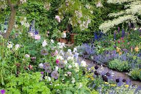 Romantic Victorian Style Garden Plant
