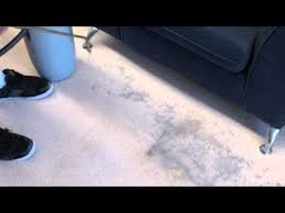 carpet cleaners drymaster carpet
