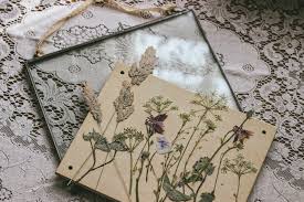 Pressed Wild Flowers In Glass Frames