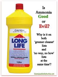 is ammonia good or evil sustainable