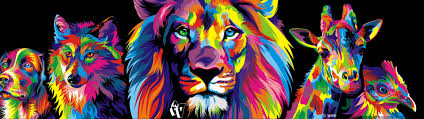 colorful lion wallpapers wallpaper cave