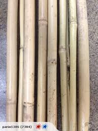 bamboo stakes 1 2 m x 20 bidbud