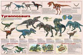 Laminated Tyrannosaurus Dinosaurs Poster 61x91cm