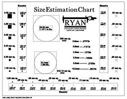Precision Accuracy Sec Size Estimation Chart Transparency For Defects And Measuring