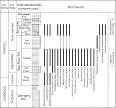 Range Chart Of Articulate Brachiopods In The Red River And