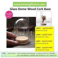 glass dome wood cork base 1481d