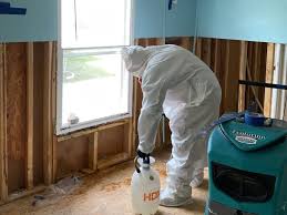 prepare your home for mold reation