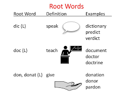 root words powerpoint presentation