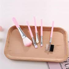 set of 5 makeup brush kit