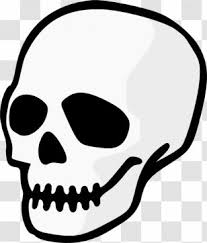 Download free skull png images. Skull Drawing Png Images Transparent Skull Drawing Images
