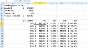 How To Create A Two Variable Data Table In Excel 2010 Dummies
