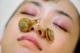 does slimy snail cream do anything for