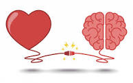 Image result for ‫قلب یا مغز‬‎