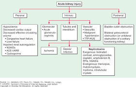Acute Kidney Injury Harrisons Principles Of Internal