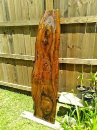 Old Growth Ancient Sinker Cypress Rare