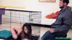 Cute Kittygirl In A Dog Kennel Cage 
