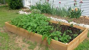Raised Beds For Your Garden Framing
