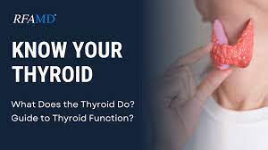 what does the thyroid do rfamd