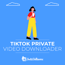 Save $52 for a limited time! Tiktok Video Downloader Online Private Instafollowers