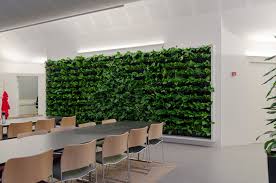 green walls from natural greenwalls