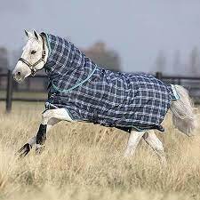 which weight horse rug to use