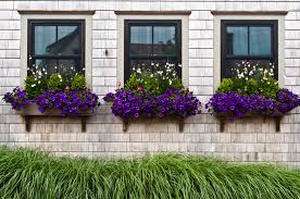 While flower boxes are very popular in europe where most people have much less gardening space than people in north america, flower boxes on windows, patios, decks and in other locations inside and outside are becoming more popular. Window Box Planting Ideas For 4 Seasons Of Interest