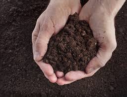 Garden Soil Over Potting Soil