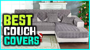 top 4 best couch cover for dogs cats