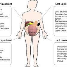 diffe abdominal quadrants