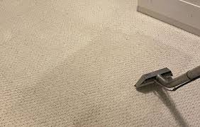 carpet cleaning geelong 0488 811 269
