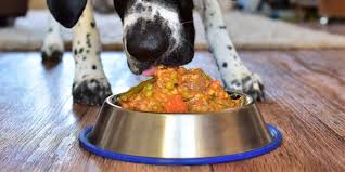 homemade dog food with meat and