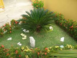 Placa de grama artificial buchinho para jardim vertical. Fotos Da Grama Esmeralda Detalhes E Precos Decorando Casas