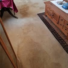 quickdry carpet cleaning care
