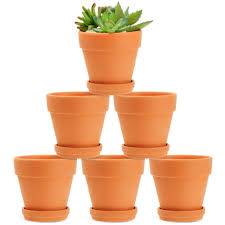 6 pack small terra cotta pots with