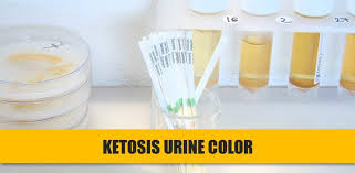 Urine Color In Ketosis The 4 Shades What They Mean