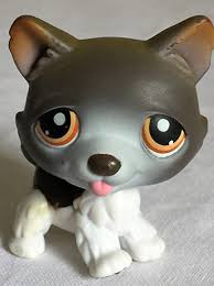 Littlest pet shop lps husky brown purple dot eye puppy #38 #39 + accessories lot. Amazon Com Littlest Pet Shop Husky Malamute Wolf Dog Puppy Brown And White With Orange Eyes Loose Replacement Figure 100 Authentic Lps Us Seller Toys Games